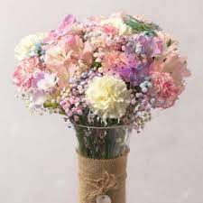 In the spring beautiful, delicate violets are seen sprinkling new jersey lawns, fields, and meadows. Flowers By Post Jersey Best Flowers By Post Cheap Flowers Online