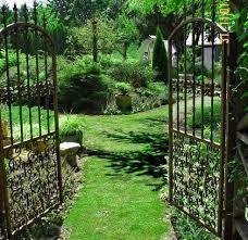 I have done extensive internet searches for seeds, and can't find what i am looking for. Stepables Com Plants That Tolerate Foot Traffic Backyard Grass Alternative No Grass Backyard Grass Alternative