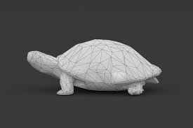 Low Poly Turtle Tortoise 3d Model Turtle Low Poly Tortoise
