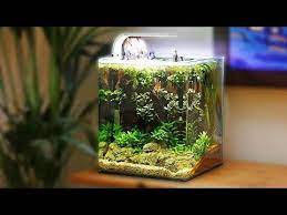 Beautiful Low Tech Nano Aquascape Non Co2 Youtube Low Tech Aquascape Nano Aquarium