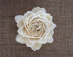 Check spelling or type a new query. Sola Beauty Flower Sola Wood Flowers Lmf Luv My Flowers Wholesale