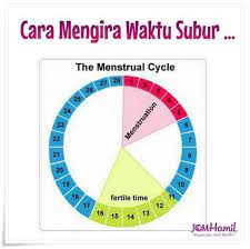 Masa subur pria dapat meningkat pada pagi hari atau saat. Furmon Penang Bilakah Waktu Subur Wanita Itu Setelah Facebook