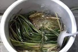 Minyak zaitun merupakan minyak yang berasal dari pohon zaitun yang banyak tumbuh di daerah mediterania, sebagian italia dan spanyol. Khasiat Dan Cara Buat Minyak Serai Wangi Bicara Hati Sharing Is Caring