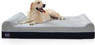 Memory foam beds for dogs are the perfect solution for an older dog with joint issues. Laifug Orthopedic Memory Foam Extra Large Dog Bed With Pillow And Durable Water Proof Liner Removable Washable Cover Smart Design Free Dog Comb Buy Online In Belarus At Belarus Desertcart Com
