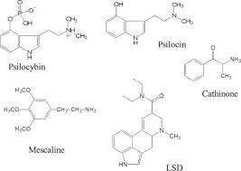 Psilocybin An Overview Sciencedirect Topics
