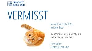 42 am besten bilder der vermisstenanzeige vorlage tollebild trendige haustier niedliche stockvektor katzen. Vermisstanzeige So Soll Das Busi Wieder Nach Hause Kommen Der Weg Ist Aber Illegal