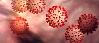 Covid 19 Coronavirus Patients Visitors Reedsburg Area Medical Center Health