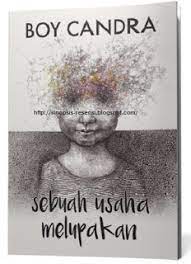Contoh esai novel boy candra. Hallooo Welcome To My Blog Sinopsis Novel Boy Candra