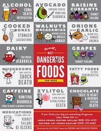 Printable Cheat Sheet What Not To Feed Your Dog Dangerous Foods For Dogs Dog Food Recipes Dog Eating
