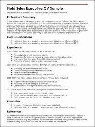 Roles And Responsibilities Of Area Sales Executive