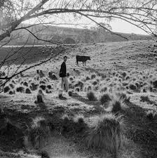 May 30, 2021 · previsiblemente, santilli es menos conocido (17,6%) que vidal, pero termina con balance de imagen a favor. Santilli Home Facebook