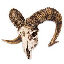 Bighorn Sheep Ram Skull Replica Free Shipping Ram Skull Sheep Skull Skull Art