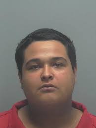 Lee County Arrests 3/31