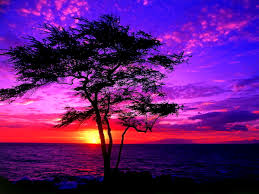 Happy woman on sunset in nature iwith open hands. Wallpaper Sun Nature Sunset Download Top Free Backgrounds