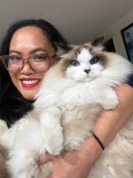 My ragdoll who is 1 tomorrow is wrecking the house/scraping all stairs  carpets/especially from amy threeholds around door, made holes in my bed  frame, shreds all letters & cardboard postman brings. we