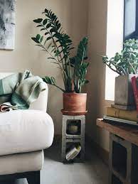 The most common tall indoor plant stand material is wood. Pin On Minimalist Interiors