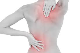 Your kidneys provide a vital function for your body to filter blood and produce urine. Lumbar Spine Anatomy Physicaltherapynow Com