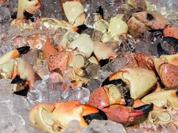 Other suggestions colossal 1lb stone crab claws cooked in dutch oven w/ a homemade dipping sauce by stuart m. Florida Stone Crab Claws With Mustard Sauce A Florida Tradition Garlic Zest