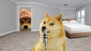Search the imgflip meme database for popular memes and blank meme templates. How To Make Your Own Dog Wif Hat Youtube