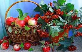 شجرة التفاح درس لتعريف أطفال ما قبل المدرسة بالطبيعة