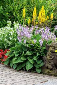 Maybe you would like to learn more about one of these? How To Divide And Transplant Hostas This Spring To Create More Plants