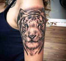14 Best Shoulder Tattoo Designs Tiger Tattoo Ideas Petpress Tiger Tattoo Tiger Tattoo Ideas Cool Shoulder Tattoos