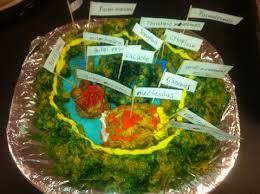 Free anonymous url redirection service. Plant Cell Model Project Clay