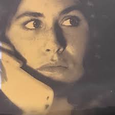 THE POLITICIAN'S WIFE—DVD—Juliet Stevenson—Trevor Eve—"WICKED"—NY  Times—SEALED