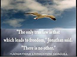 Inspirational positive jonathan livingston seagull quotes. 24 Inspirational Quotes From Jonathan Livingston Seagull Swan Quote
