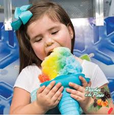 Peaches in the Pines disc golf festival in Woodbury, GA