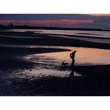 ファインダー越しのおっちゃんの世界 犬 さくら店長 写真 藤原のおっちゃん natural landmarks landmarks nature