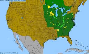 Image result for Rhynchosia micrantha