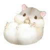 Try to search more transparent images related to hamster png |. 1