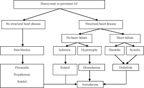 Image result for Antiarrhythmic