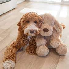 Pin On Doodle Love