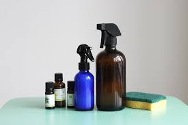 Diy Sprays Nettoyants Pour La Maison Mango And Salt Nettoyer Maison Produit Menager Desinfectant Maison