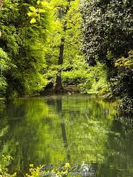 وتأهل ميلان إلى دور الثمانية. Tripadvisor Ø­Ø¯ÙŠÙ‚Ø© Ø¨Ø§Ø¨Ù„ÙŠÙˆØ³ÙŠ Ø§Ù†Ø¯Ø±Ùˆ Ù…ÙˆÙ†ØªØ§Ù†ÙŠÙ„ÙŠ Ø§Ù„Ø¹Ø§Ù…Ø© ÙÙŠ Ù…ÙŠÙ„Ø§Ù† Ø§ÙŠØ·Ø§Ù„ÙŠØ§ ØµÙˆØ±Ø© Giardini Pubblici Indro Montanelli Ù…ÙŠÙ„Ø§Ù†