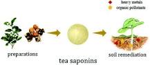 Tea saponins: effective natural surfactants beneficial for ...