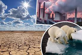 Image result for global warming photos
