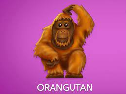 We did not find results for: What Does Orangutan Emoji Mean
