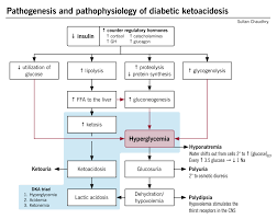 Hyperglycemic Emergencies Diabetic Ketoacidosis And