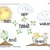 Light, air, good soil and water. 3