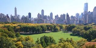 Most Green Spaces In Cities Are Somewhat Artificial Meaning They Don T Seem Like A Natural Landscape Howeve Central Park Nyc New York City Tours Central Park