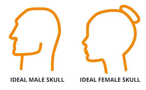 Maybe you would like to learn more about one of these? What Is Considered A Big Forehead Magnum Workshop