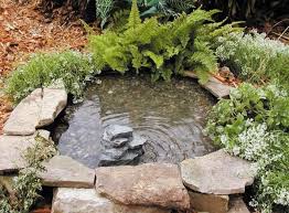 Diy Idea For A Mini Garden Pond With A Mortar Bucket And Plants Tire Garden Diy Pond Diy Garden Projects