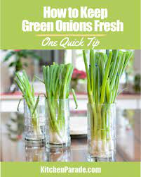 All you need is green onion roots, a jar, and fresh water. How To Keep Green Onions Fresh For Weeks