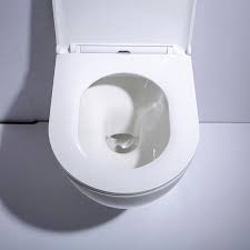Distriartisan a sélectionné pour vous une large gamme de cuvettes wc alliant design et praticité. Wc Suspendu Noir En Ceramique Abattant Slim Olen