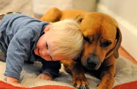 We are an animal care organisation through and through. Top Benefits Of Using Professional Pet Relocation Services Quartier Numerique