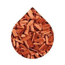 Image result for Brachylaena huillensis