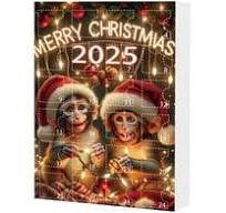 Advent Calendar Boxes